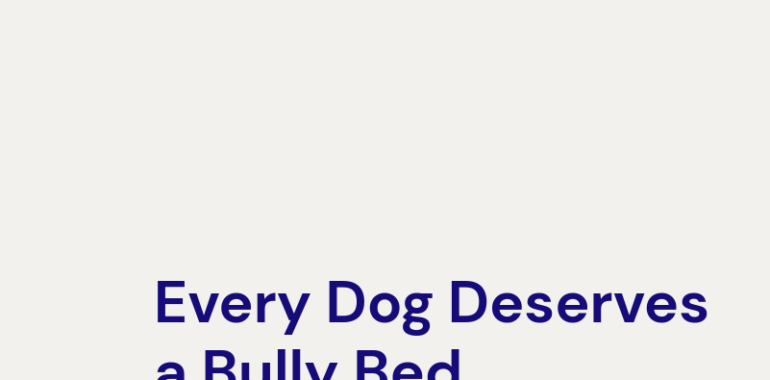 Bully Beds