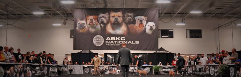 ABKC Breeds