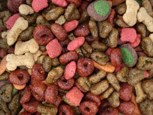 Dry Dog Food