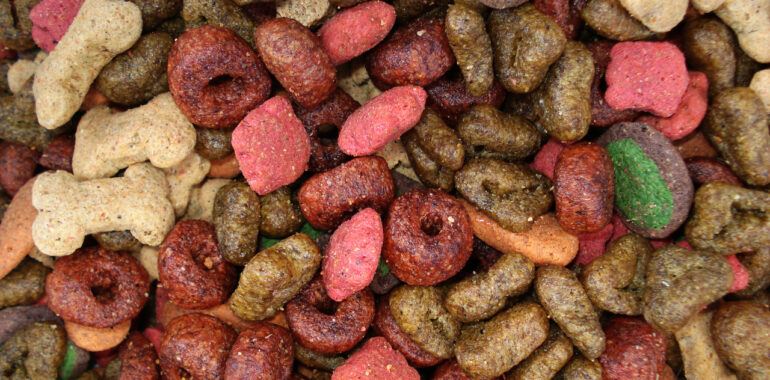 Dry Dog Food