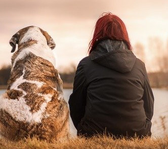 Dog and human