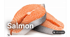 Salmon