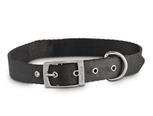 Nylon Collar