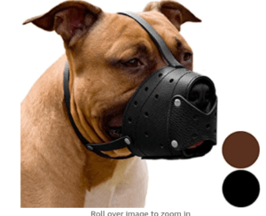 Dog Muzzle